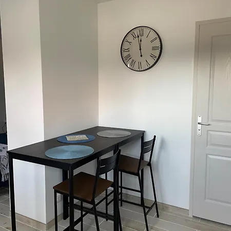 Les Hortensias De Marie Lavieville